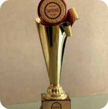 Awards and Recognition winner_brand