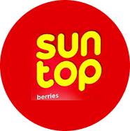 Suntop-brand-logo